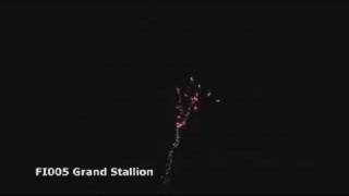 Stealth Fireworks - Grand Stallion