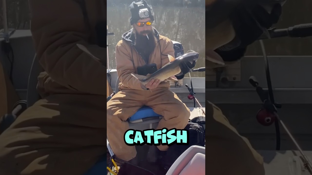 Highlights: Best Fishing Trips 2024! SLAYING* 🎣 