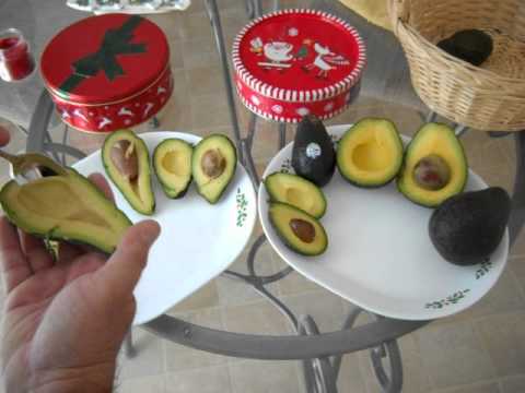 Jim Bacon, Hass and Lamb Hass Avocado Fruit Tasting.AVI