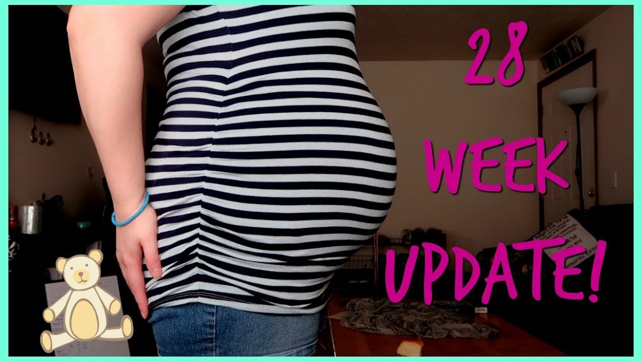 3rd Trimester is finally here! 28 week Pregnancy Update YouTube