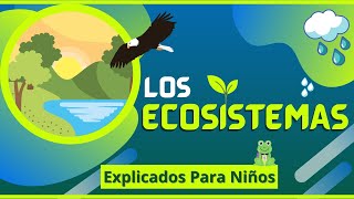 Ecosistemas |Videos Educativos Para Niños