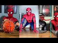 Spider slack new funny tiktok and shorts 2023  best of spider slack tiktoks compilation