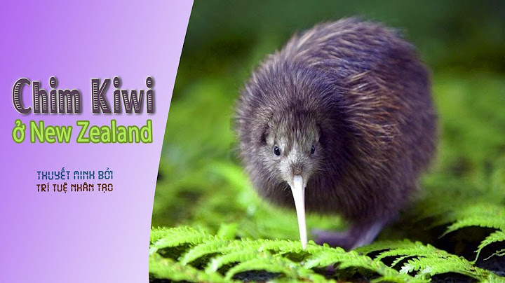 Chim kiwi là loài chim đặc thù của nước nào năm 2024
