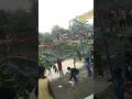 #shortsvideo#viral
