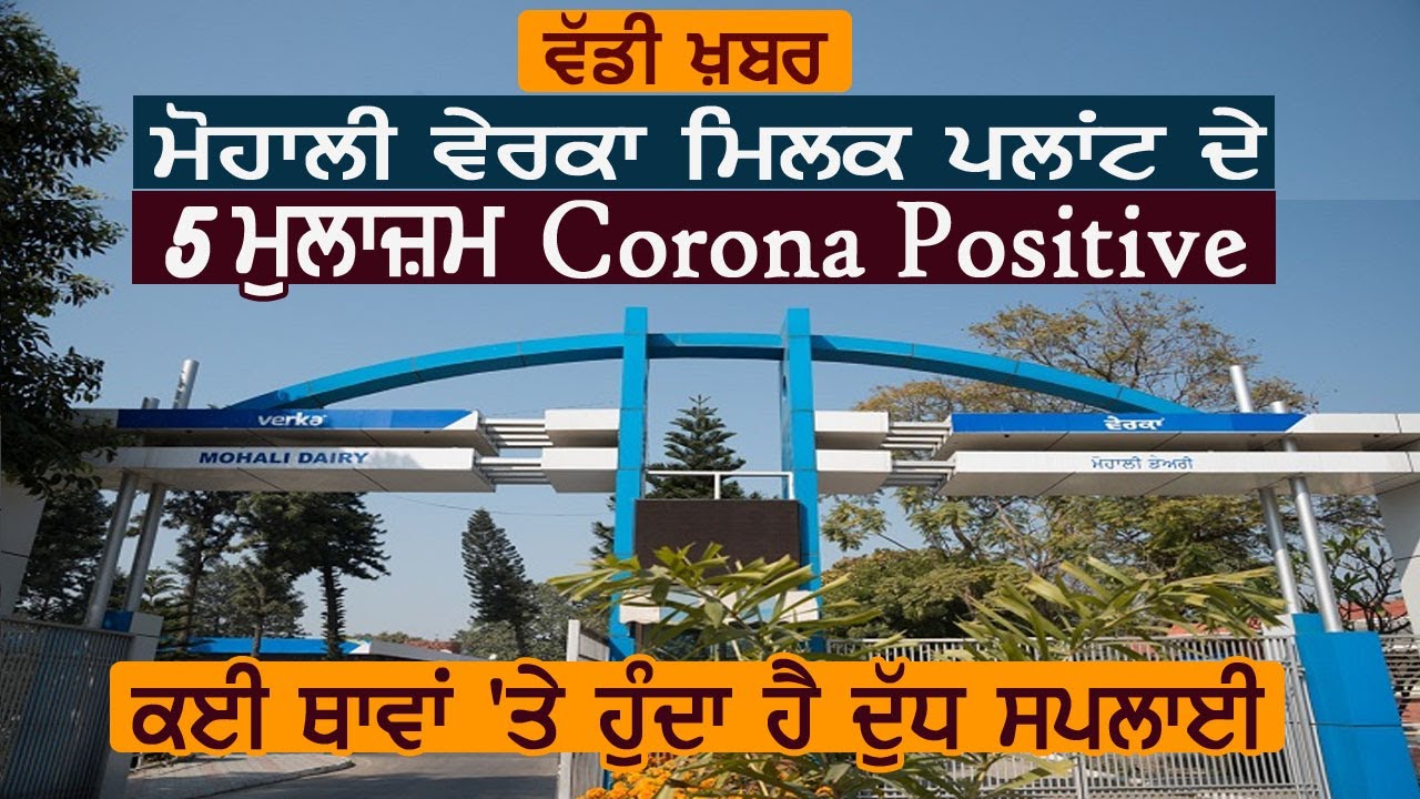 Super Breaking : Mohali Verka Milk Plant के 5 मुलाज़िम आए Corona Positive