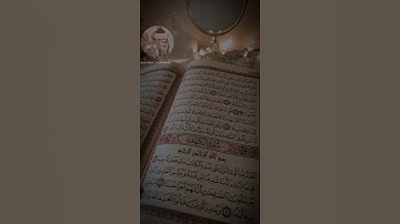 حالات واتس قران كريم | محمد صديق المنشاوي | سورة الكهف