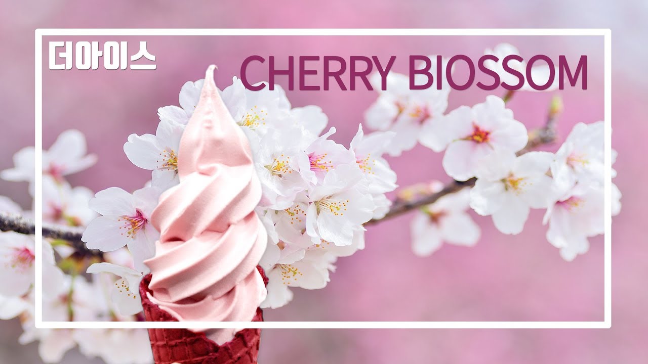 벚꽃소프트아이스크림 Cherry Blossom Soft Ice Cream YouTube