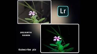 Lightroom tutorial -- How edit flower form lightroom (part -2)  #Lightroom #ncs #all bangla tips screenshot 1