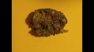Pretty Wicked - flower - Cannabis Strain Review