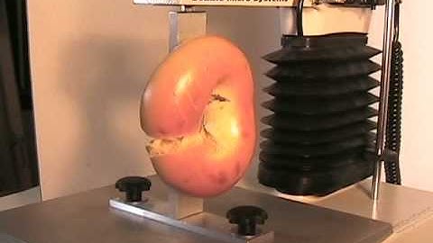 Pulling Apart a bagel with the TAXTPlus Texture Analyzer