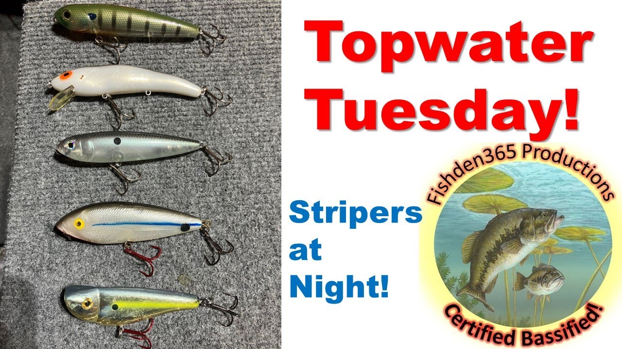 Top 5 Topwaters For Night-time Stripers 