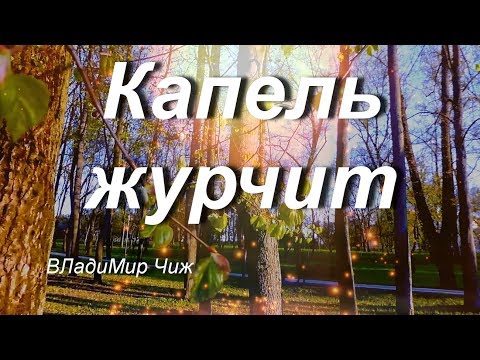 Капель журчит. ВЛадиМир Чиж. #стих#стихи#познание