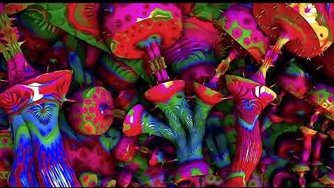 The Intro | GOOD VIBES ONLY | Episode #0