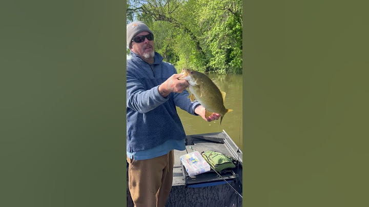 Big Smallmouth Bass! #fishing #bassfishing #fishingvideo