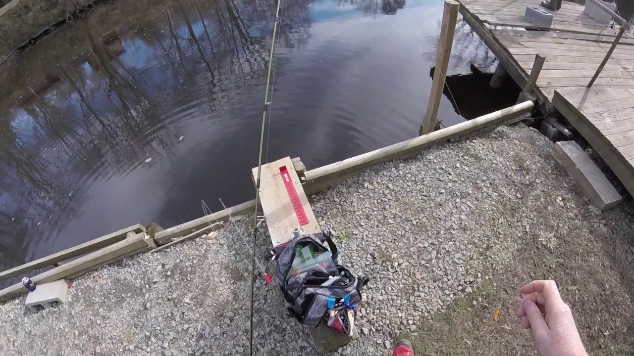 2018 Chesapeake Yellow Perch Spawning Run: After the Nor'easter