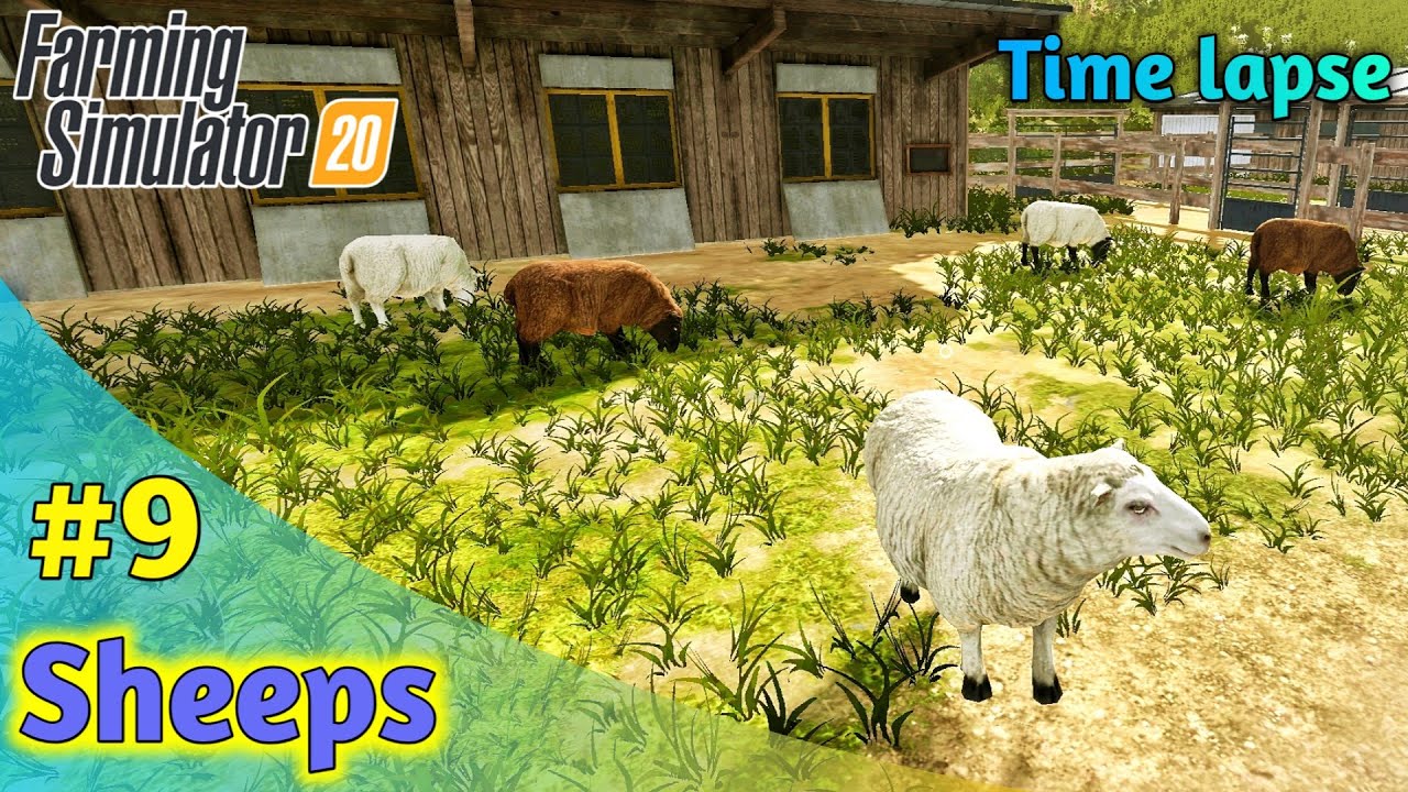 Now we will raise Sheep and be rich. Fs 20 part#9 Time-lapse Gameplay