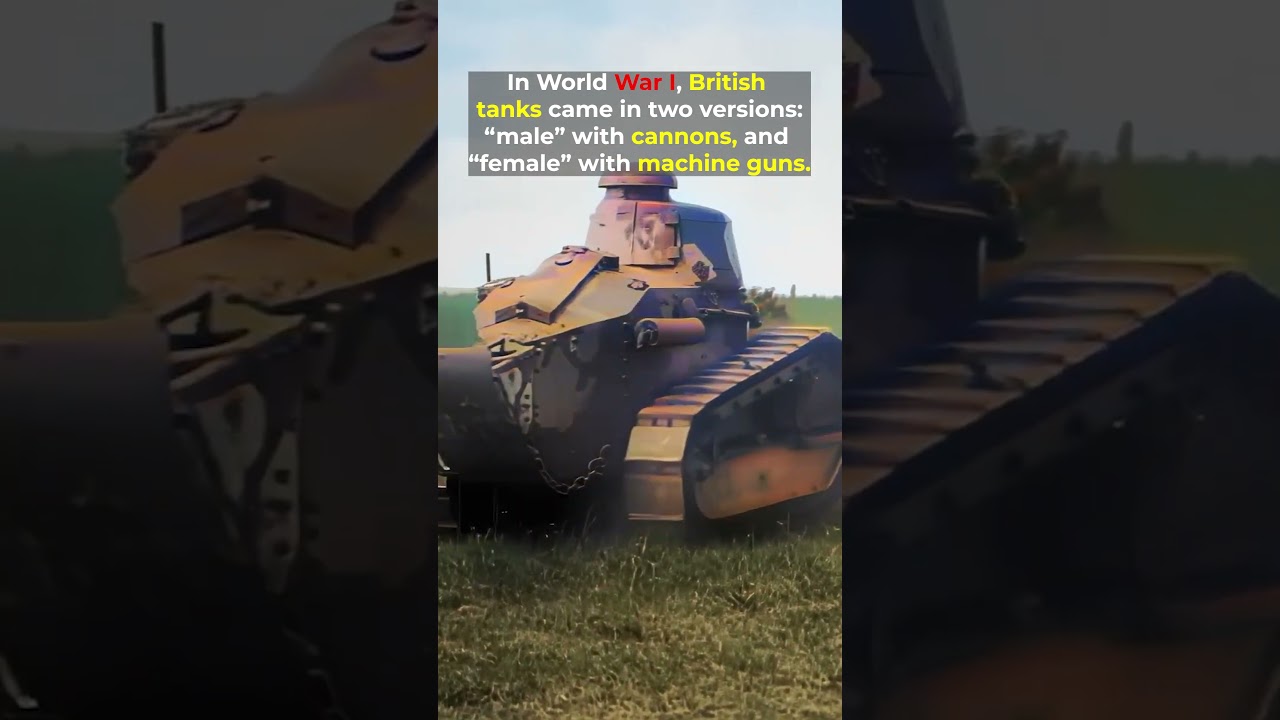 WW1 Tanks Were Literally “Male” and “Female” 