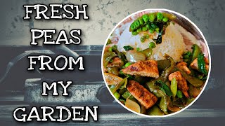 GRILLED PORK WITH PEAS - FRESH FROM MY GARDEN #yummyfood #grower