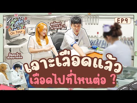 วีดีโอ: การโอนเงินใน Sberbank: ความแตกต่างของขั้นตอน