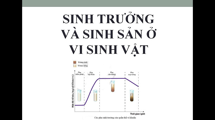 Nhân tố sinh trưởng là gì sinh 10 năm 2024