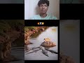 lion ☠️  #lion #égalité #reaction #reactionvideo #respect #motivation #decipline #treanding