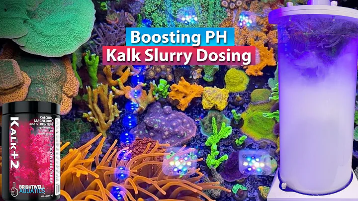 Kalkapalooza! - Boosting PH and dosing with kalk S...