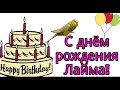 День Рождения у Лаймы! Попугайчику 1 год.  23.12.16