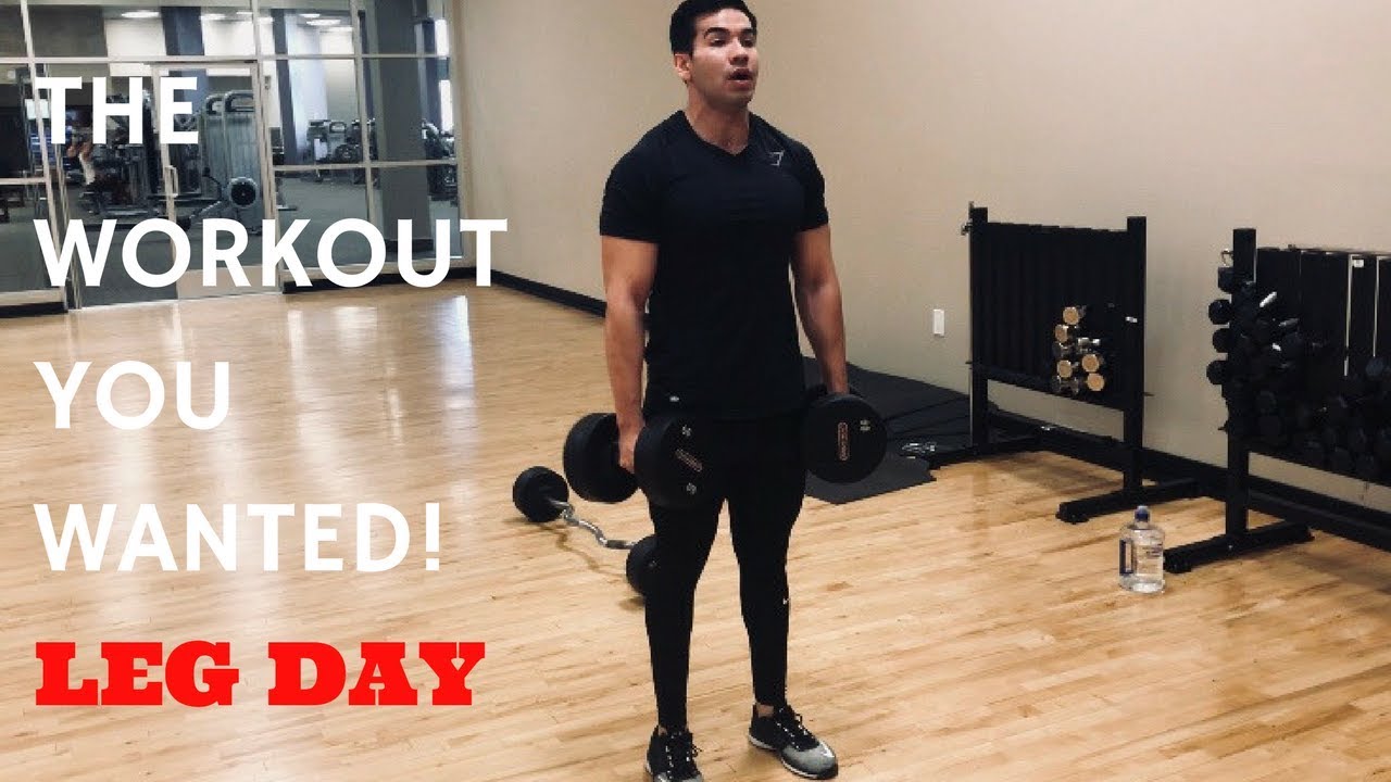 FULL LEG DAY WORKOUT - YouTube