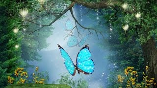 Peaceful Music, Relaxing Music, Instrumental Music  "Enchanted Forest" by Tim Janis screenshot 5