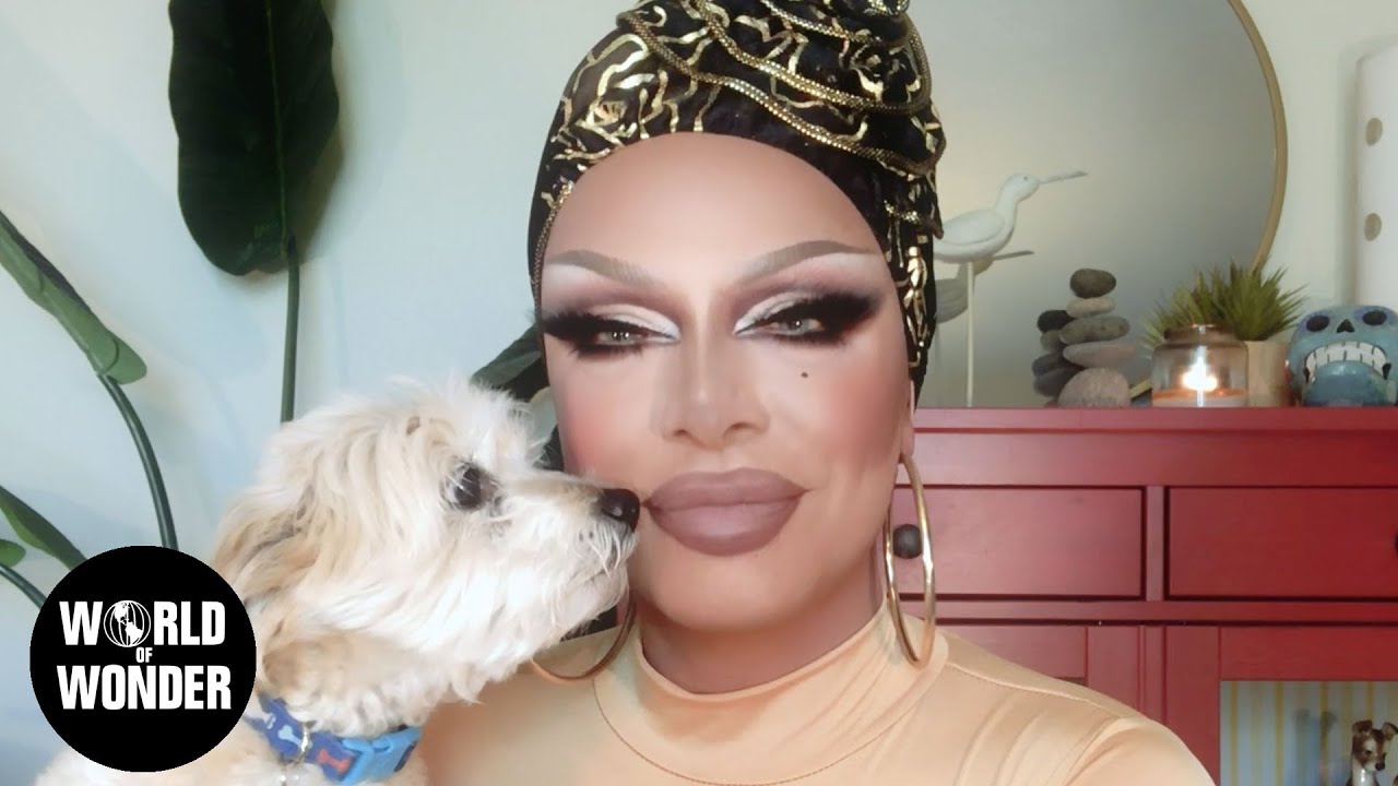 Celebrity Drag Race Episode 4 Mentor Queens Eleganza YouTube