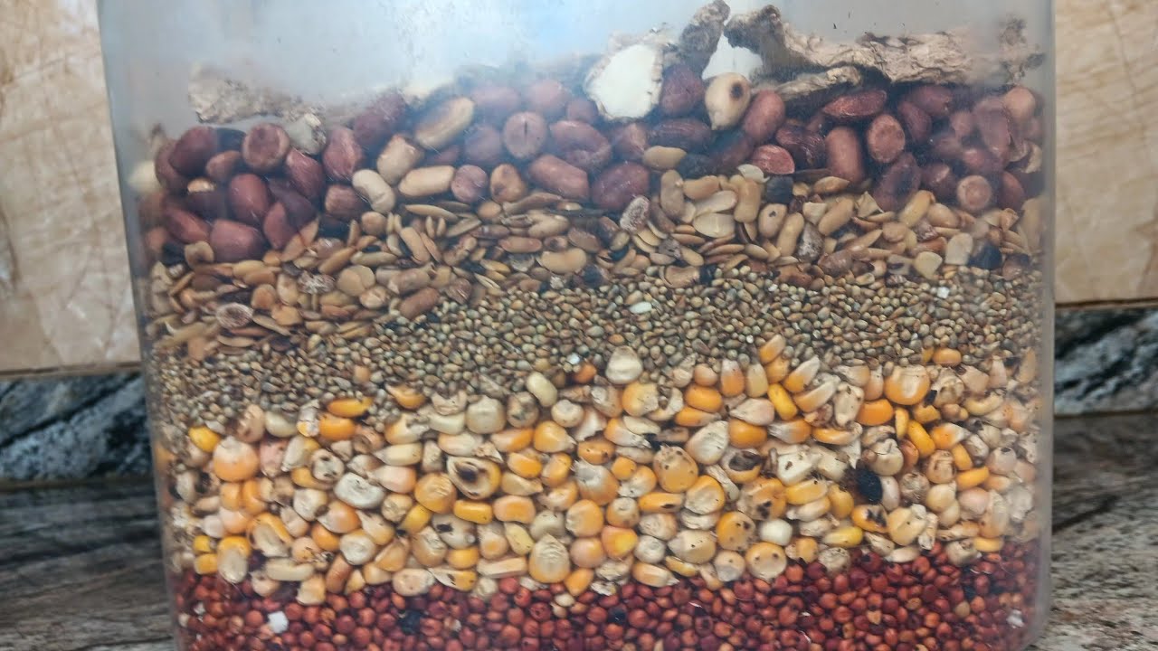 How to Make Tom Brown from Scratch | The Best Tom Brown Recipe