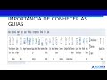 AULA 03 - GUIAS E GRUPOS DO WORD