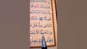 سورة مريم الأية 23 إلى 25 القارئ مشاري راشد العفاسي