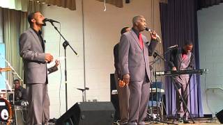 If I Stumble by Swanee Q. 2014
