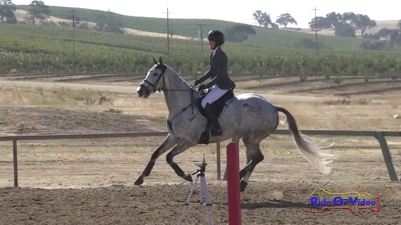 horseshoe bend 132S Allyson Hartenburg on Mucho Me Gusto SR Training Show Jumping Twin Rivers Ranch Sept. 2019