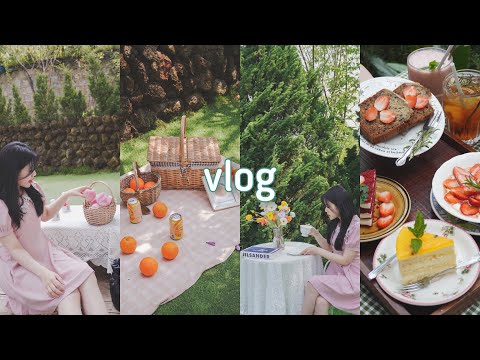 Video DaLat vlog ????| quay lại Đà Lạt: Yooberi????, Khu vườn... - youtube