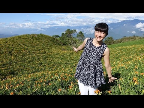金針花海。百年溫泉│六十石山、金針花餐、安通溫泉、浴衣│Hualien│1000步的繽紛台灣 83