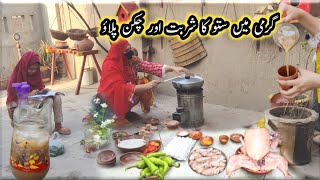 Village Living Routine| Summer Sattu Drink Chicken Pulao In Village Style