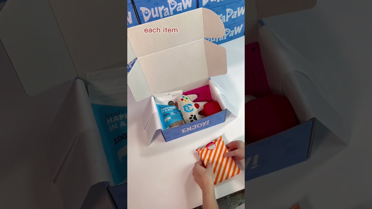 Bring the excitement home with this dog subscription box! 
