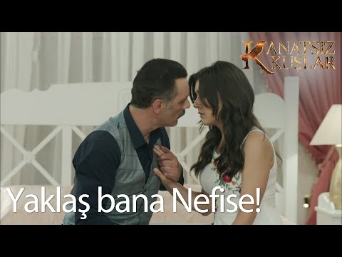 Nefise ve Muzaffer tam yakınlaşacakken... - Kanatsız Kuşlar 11. Bölüm