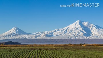 Finding Fievel: Part 5 - The Drop Off/Argument