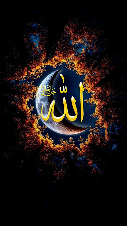Quran surah taubah.ayat-67-69#quran traslation with urdu Quran 🎧♥️ #shorts
