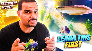 The Aquarium Nitrogen Cycle Video You