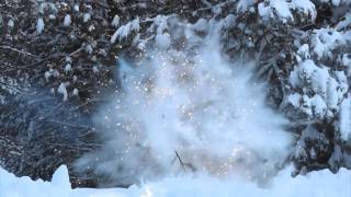 Exploding tree