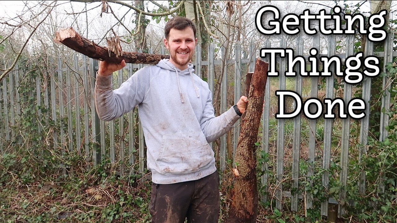 Bad Weather, Small Wins, Big Progress at the Allotment