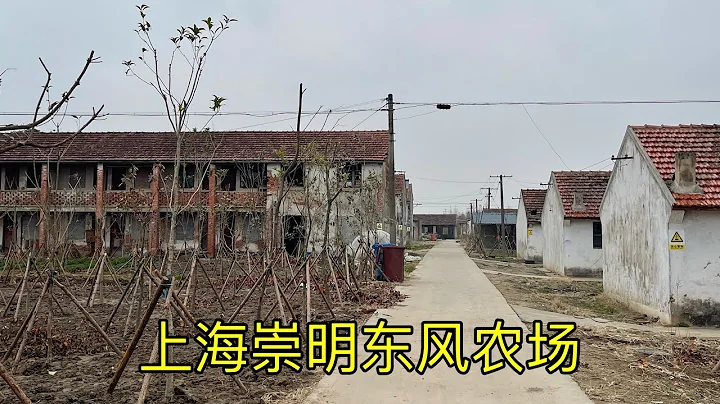 上海崇明荒废的知青农场，没想到这里还住了一位老知青 - 天天要闻