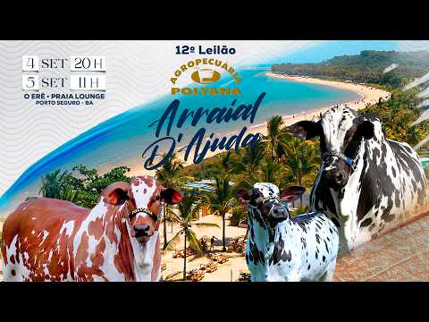LOTE 28