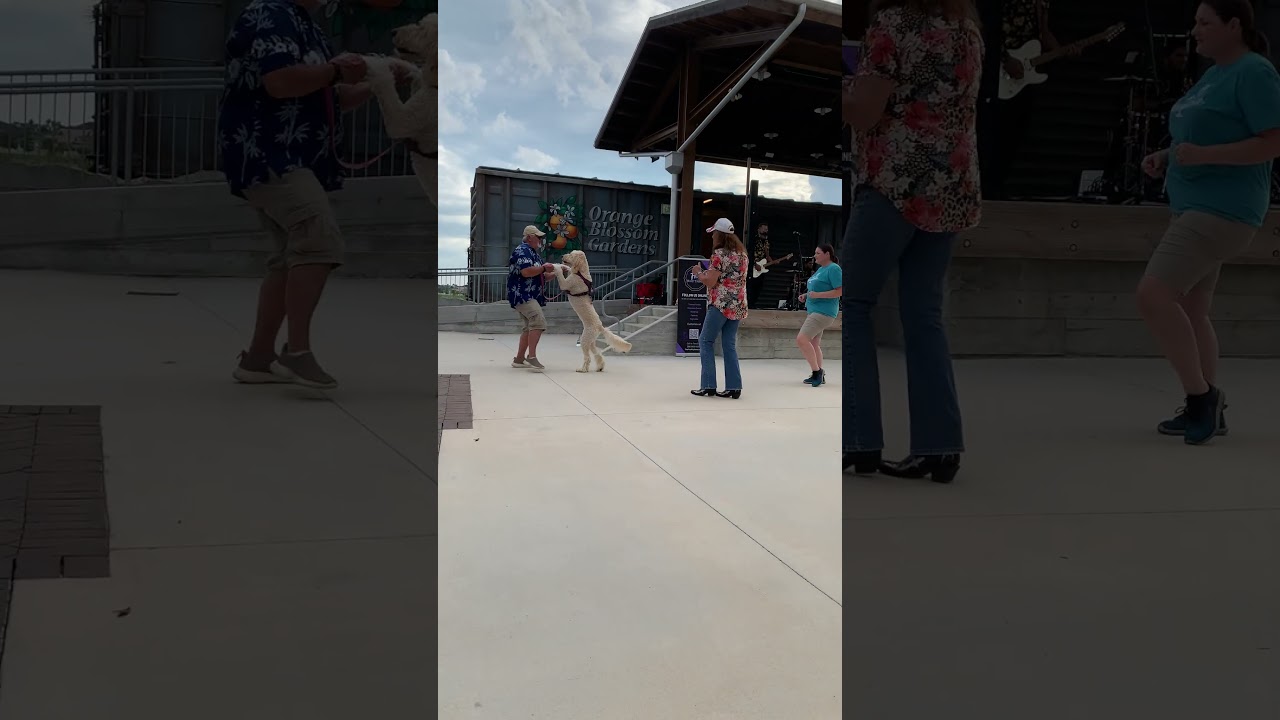 Tonight at Sawgrass Grove in The Villages, Florida 