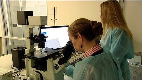 Multiple Sclerosis breakthrough?