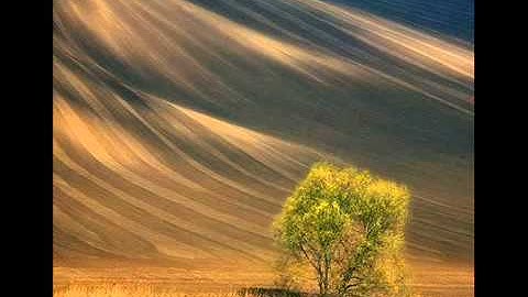 محمد الطبلاوي - سورة الرحمن